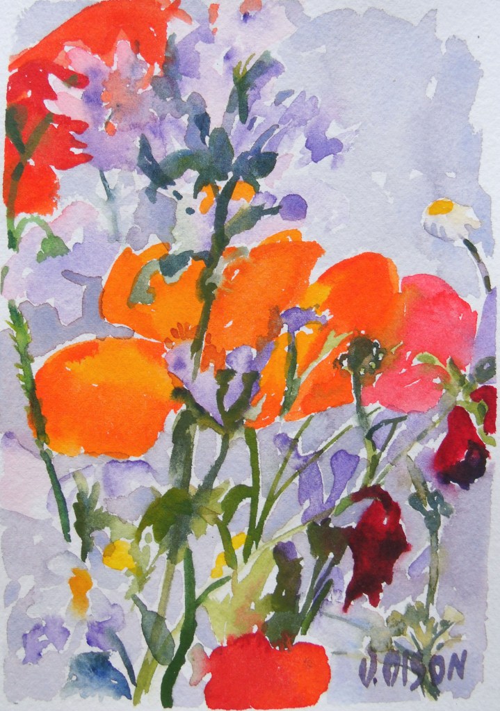 Poppies and Wild Flowers May 2015