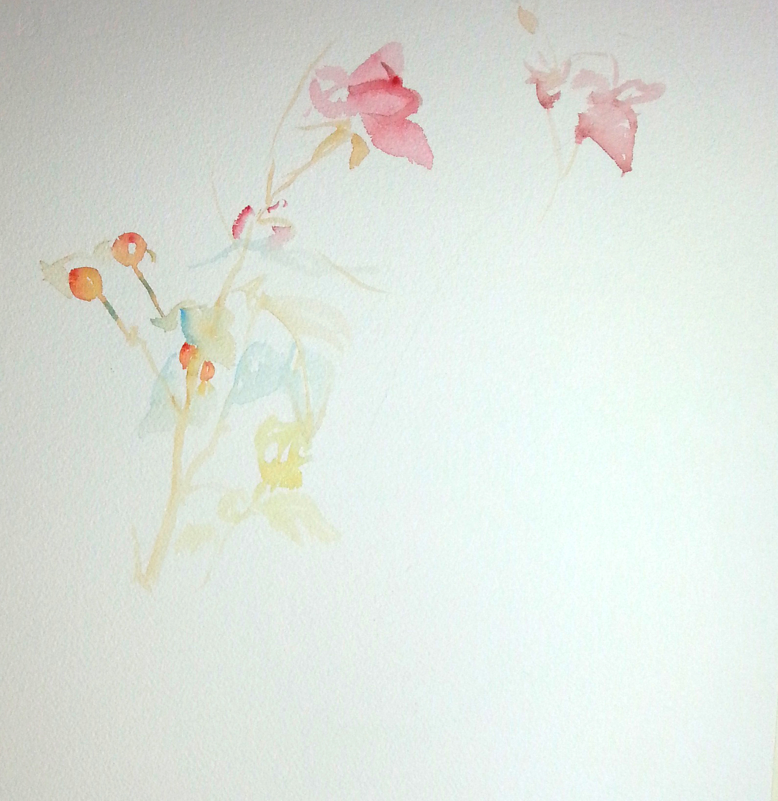 Starting out lightly