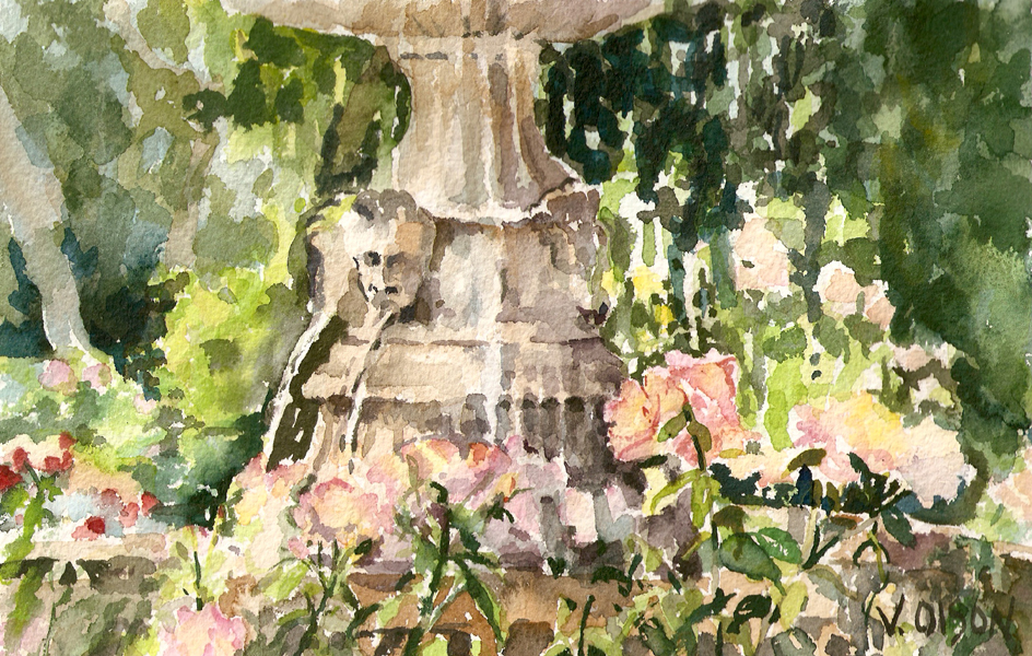 Rose Garden June 2009