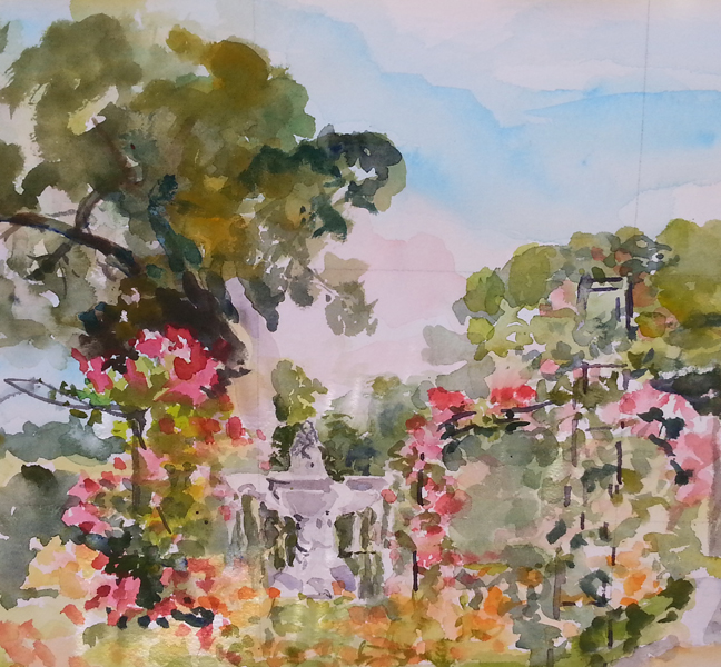 The Rose Garden June 2015