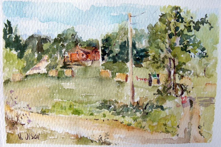 A View of Kathy's House 2012