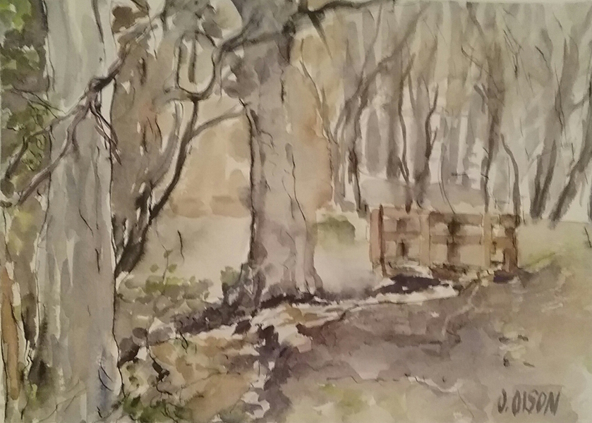 Bustarviejo Forest. There are trees along a creek and a little bridge in the distance. The sky is covered by the trees.